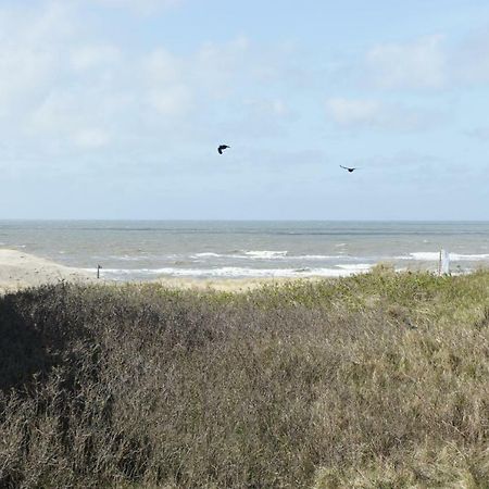 Apartament Holiday Studio Zeemuis Noordwijk Zewnętrze zdjęcie